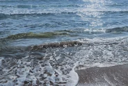 Javier Torices | Mediterráneo 9:12