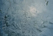 Javier Torices | Bubbles Series 12:23