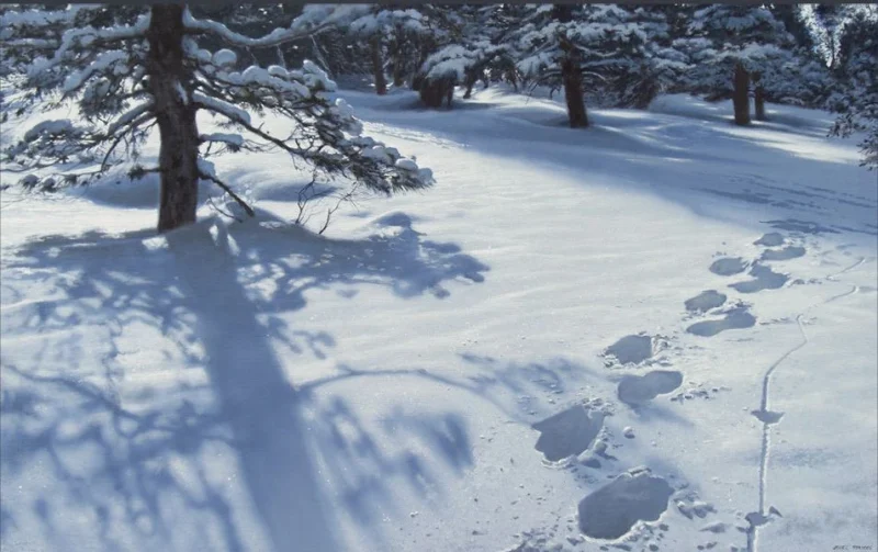 Javier Torices | The last snow