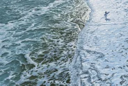 Javier Torices | Searching for the Wave