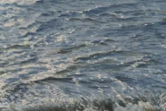 Javier Torices | Marais de Y´ves 15:10