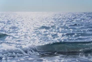 Javier Torices | Orilla del Mediterráneo