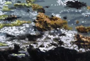 Javier Torices | Rocas de Calpe