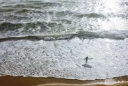 Javier Torices | Surfista