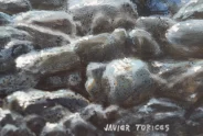 Javier Torices | Marais de Y´ves 15:10