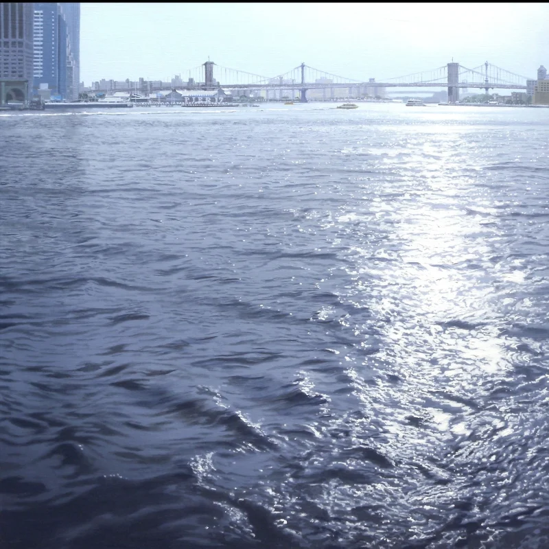 Javier Torices | Hudson River back light