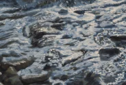 Javier Torices | Marais de Y´ves 15:10