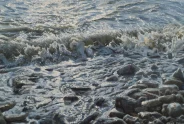 Javier Torices | Marais de Y´ves 15:10