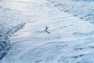 Javier Torices | Surf en Nazaré